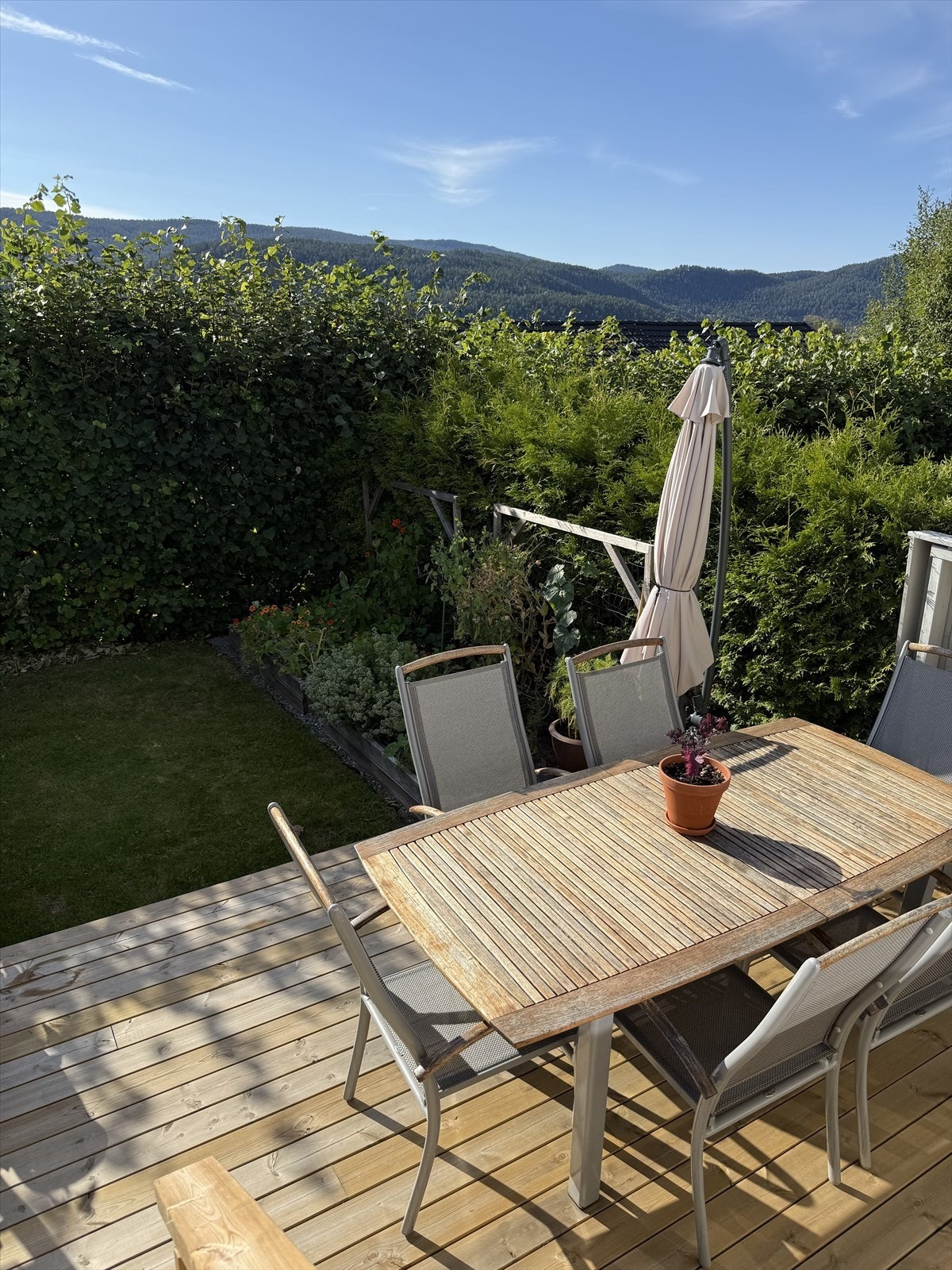 Bilde fra sommeren (Selgers private bilde) Galleribilde