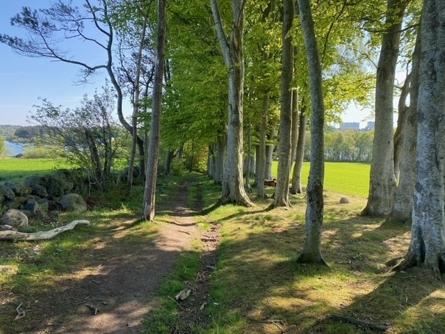 Tursti fra Ragkroken, langs Gimle gård, til Stokkavannet Galleribilde