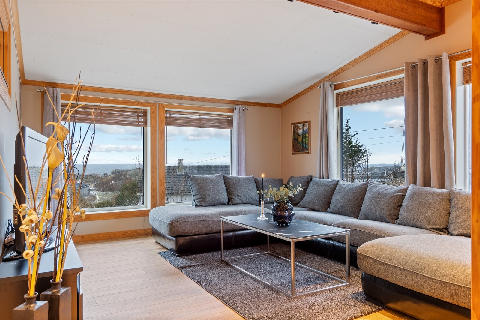 TV-stue Galleribilde