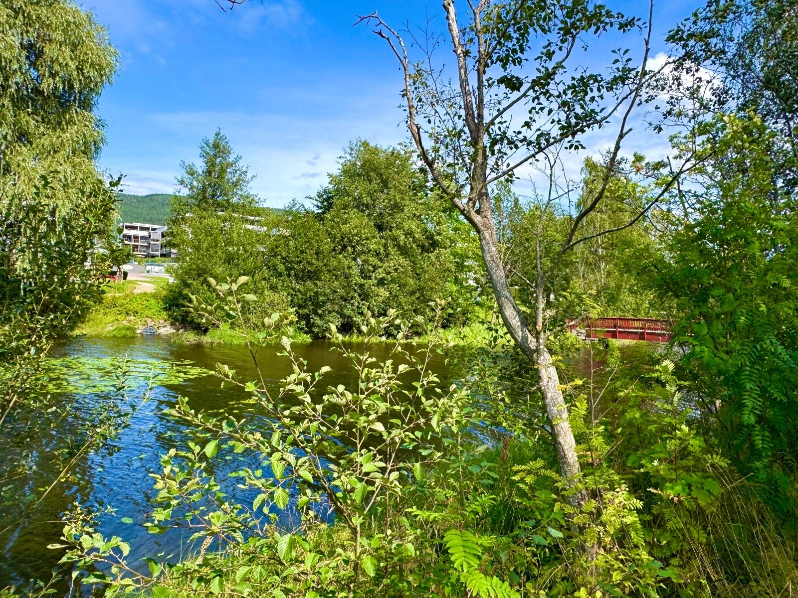 Fra Pålsøya kan en skimte boligprosjektet Pålsøya Park Galleribilde