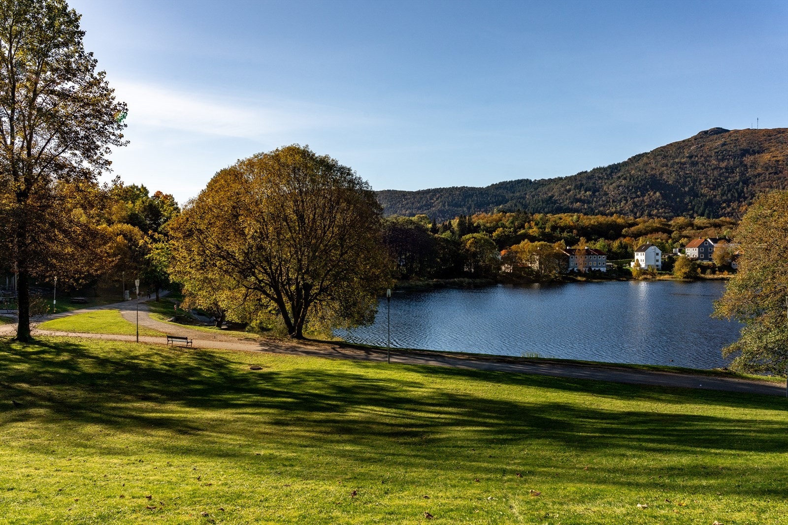 Det er mange flotte tur- og rekreasjonsmuligheter i området. Tveitevannet er perfekt for en spasertur eller joggetur. Galleribilde