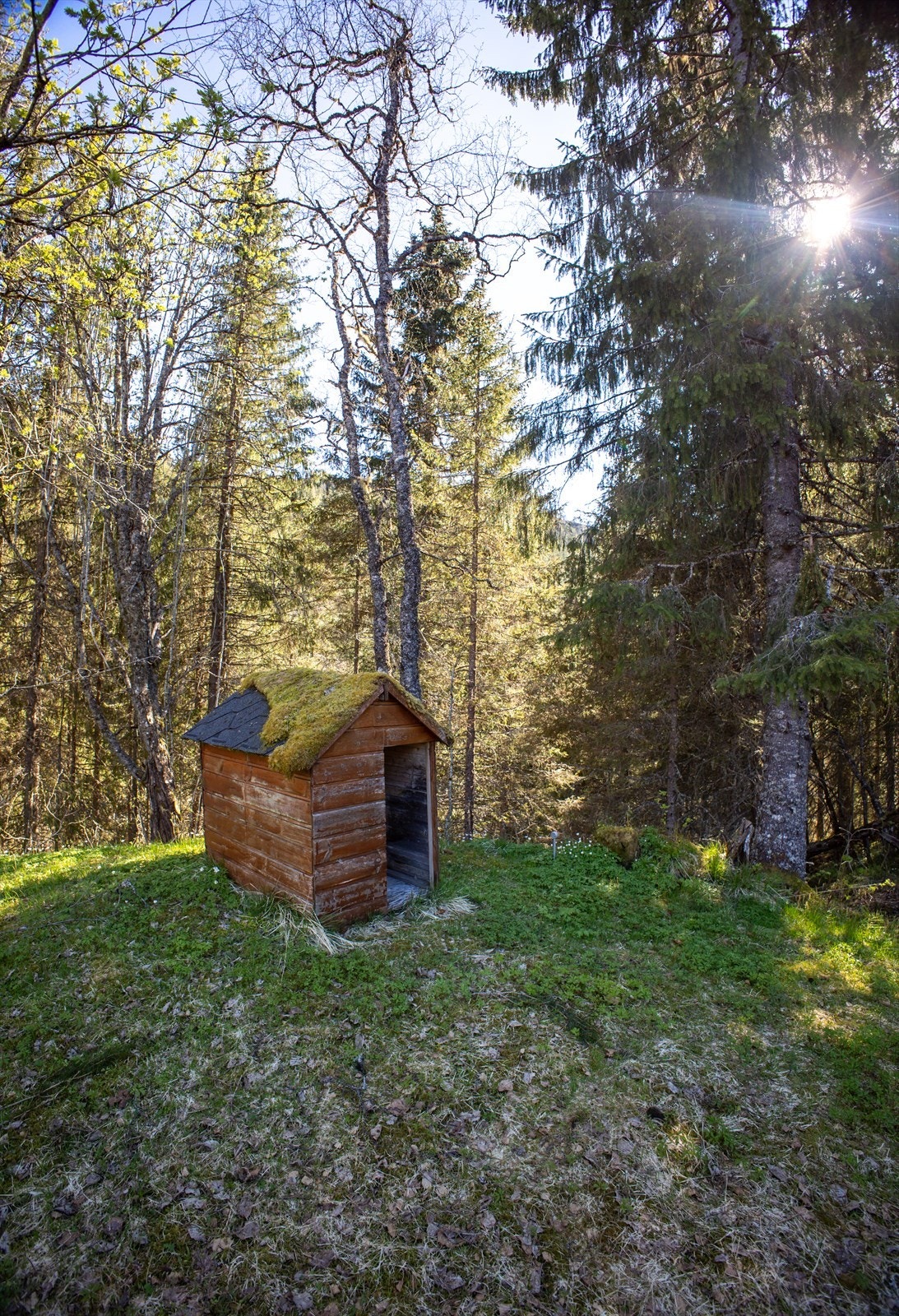En liten og eldre lekestue. Galleribilde