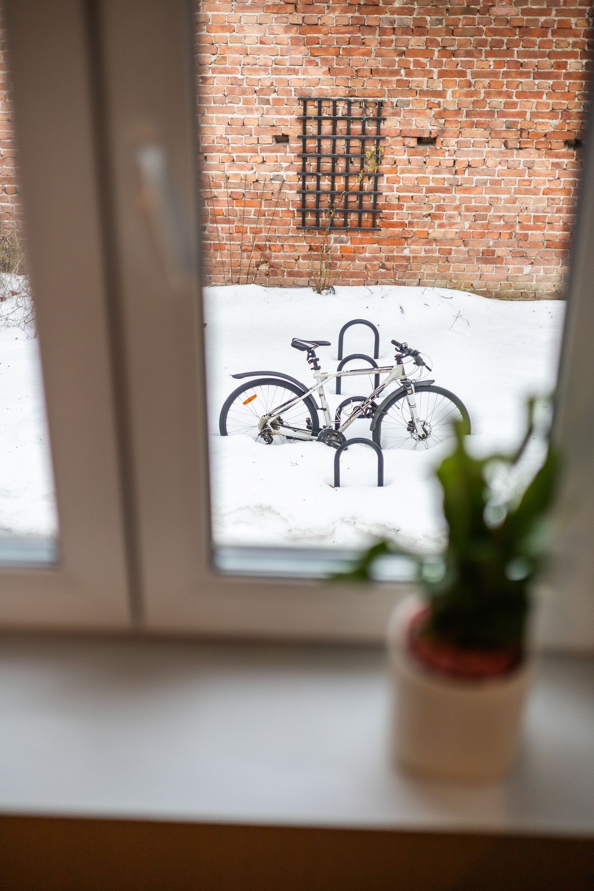 Rolig bakgård. Galleribilde