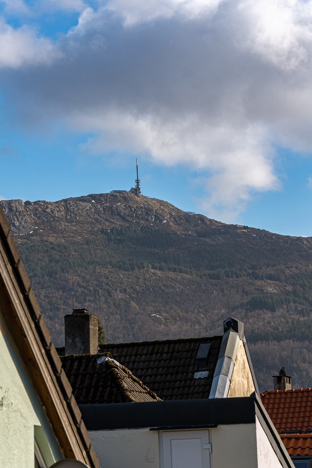 Med utsikt til ulrikken Galleribilde