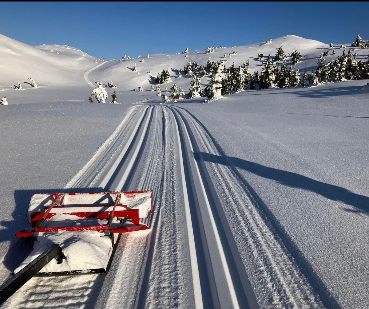 Scooterkjørte skiløyper like i nærheten. Galleribilde