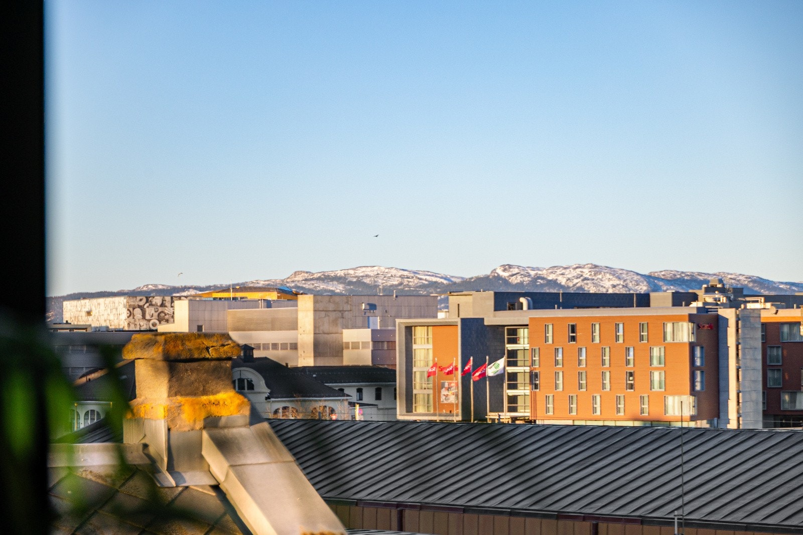 Fra leiligheten er det utsikt mot Fosenalpene og Rockheim. Galleribilde