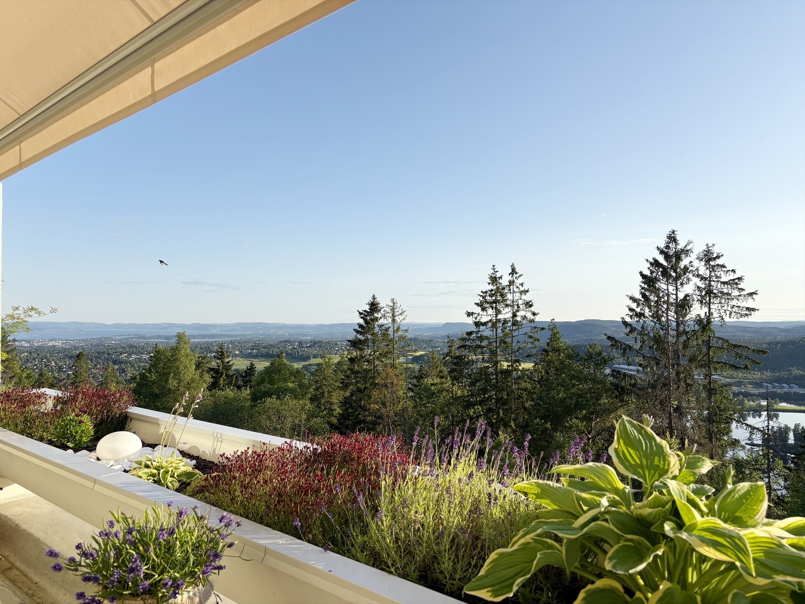 Selgers private sommerbilde fra terrassen Galleribilde