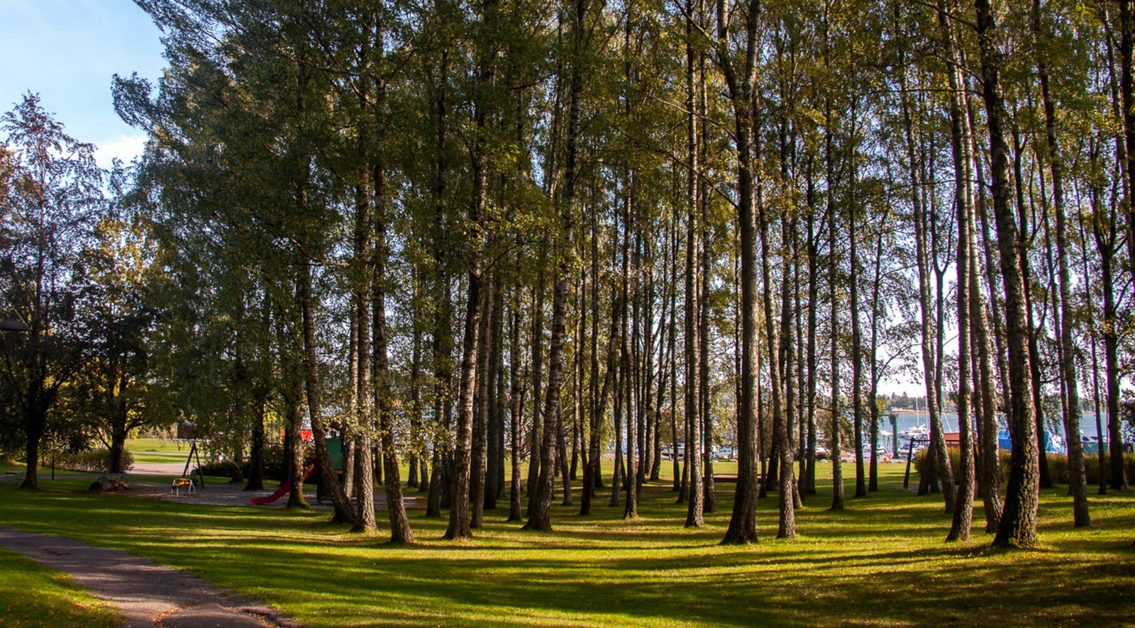 Rosahaugparken byr på åpne gressletter og flotte turstier gjennom grønne omgivelser. Galleribilde