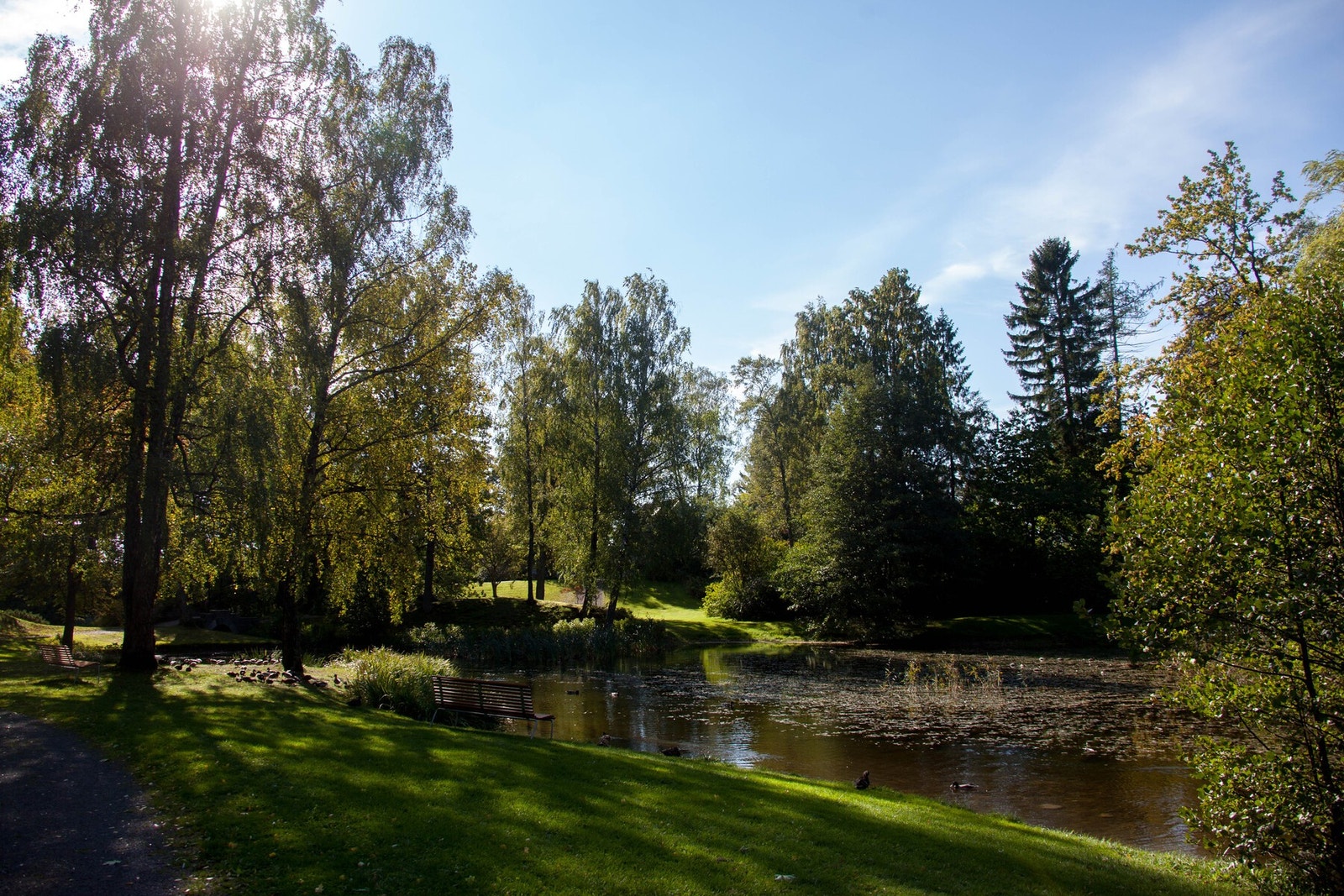 Vinterstid forvandles parken til et lite paradis for hele familien, med skøytebane og lang akebakke. Galleribilde