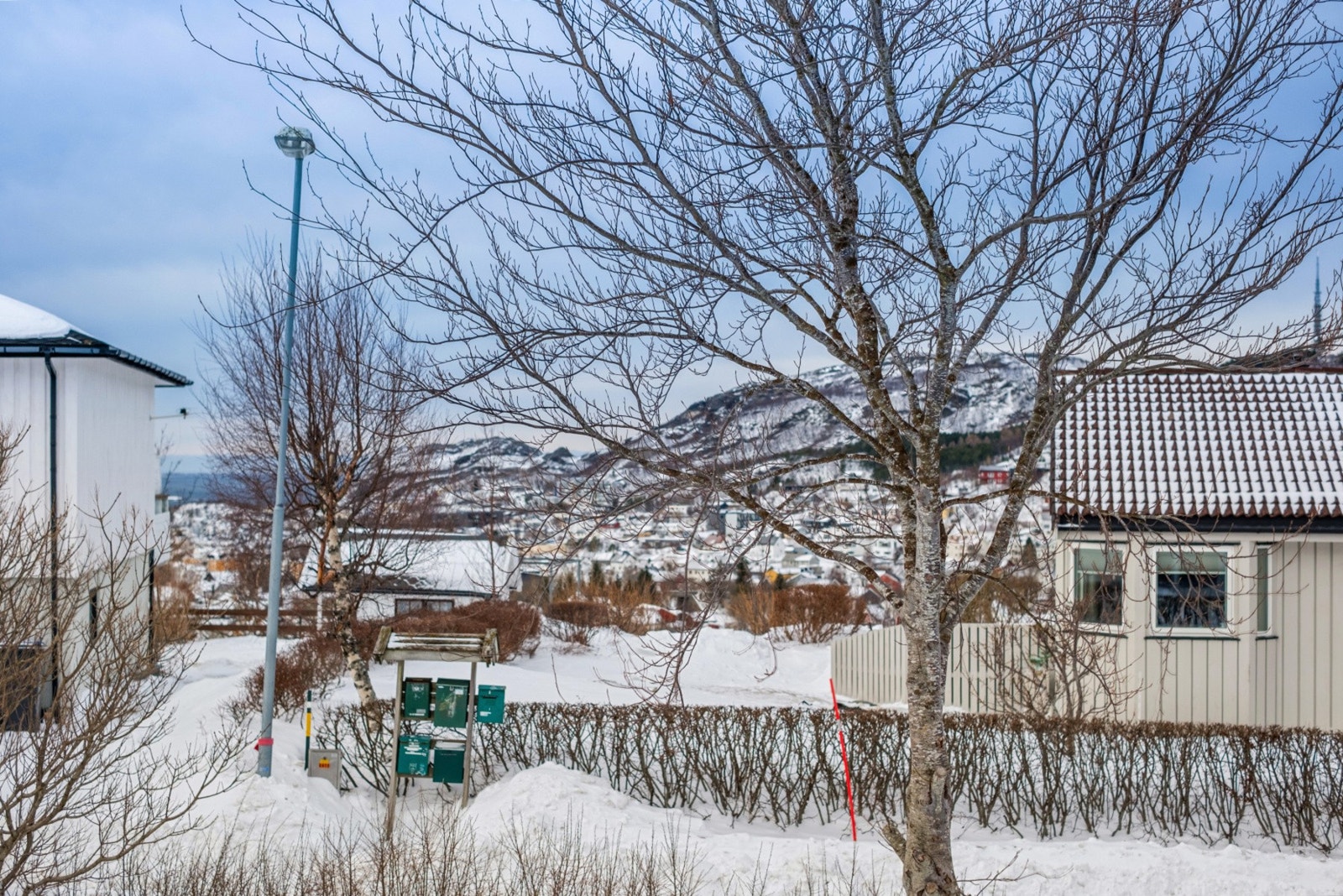 Utsikt. Galleribilde