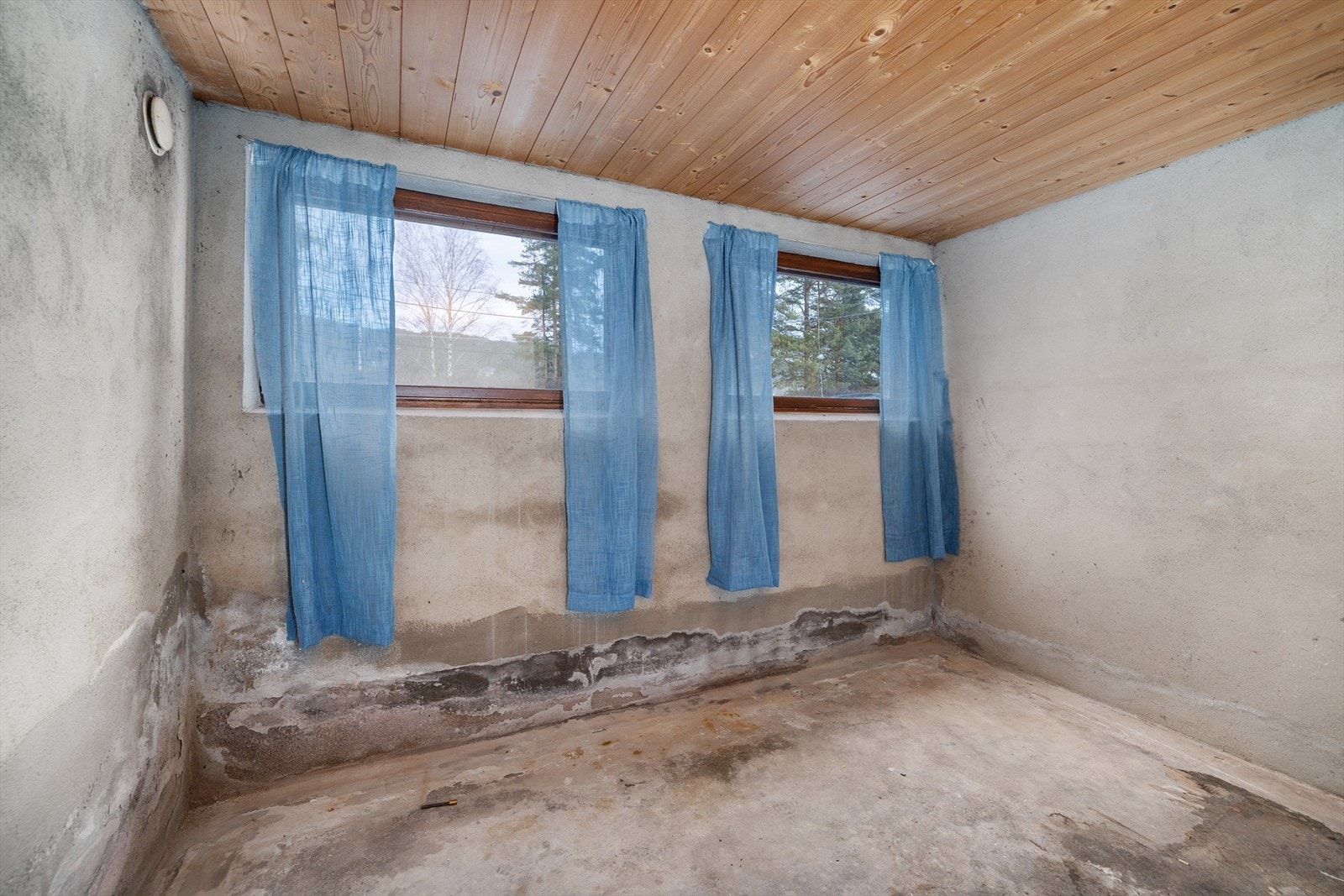 Saltutslag i kjeller. Drenering bør byttes. Galleribilde