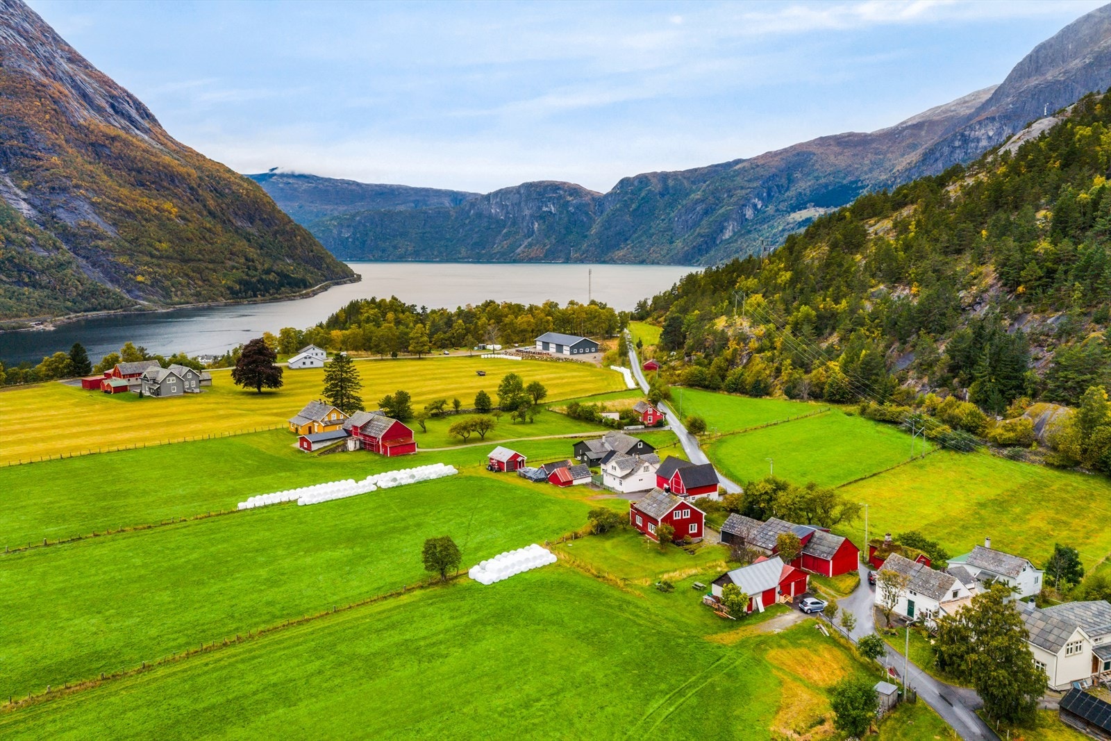 Velkommen til visning - husk påmelding! Galleribilde