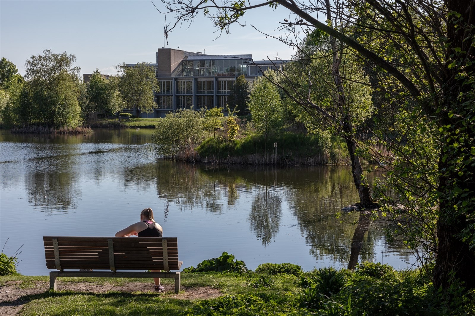 Smestaddammen Galleribilde