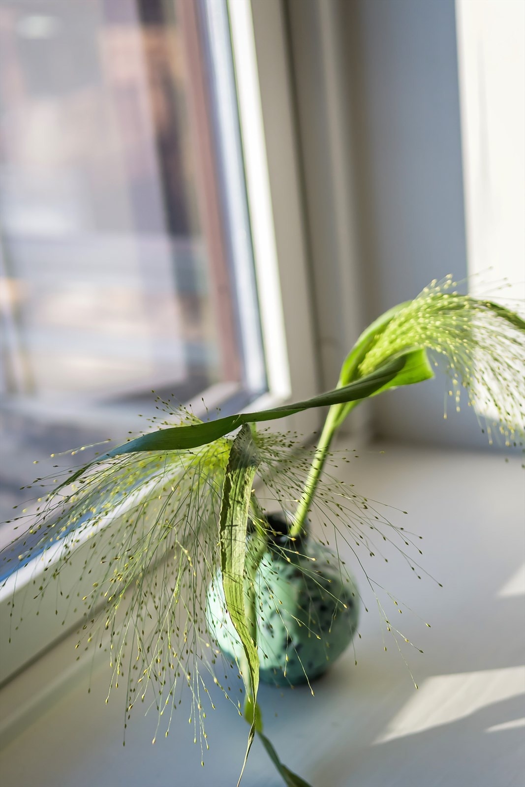 Her bor du i rolige og trivelige omgivelser. Galleribilde