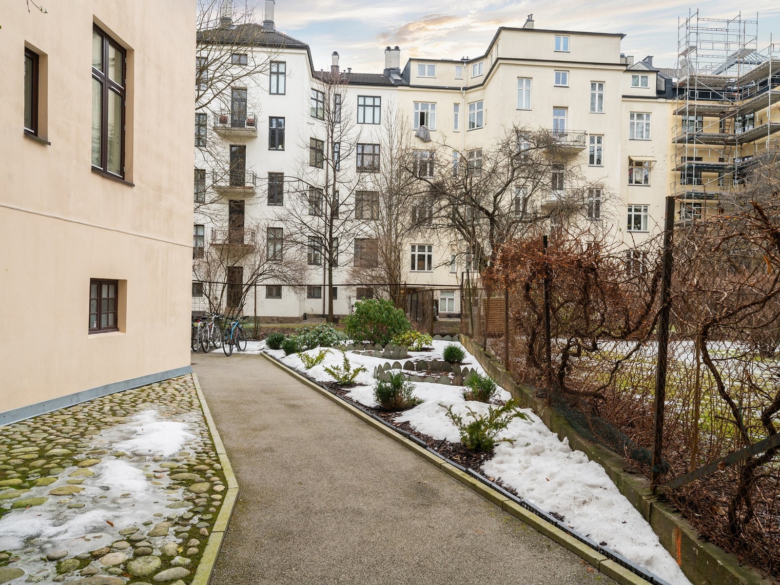 Felles bakgård med beplantning, prydbusker og sykkelparkering Galleribilde