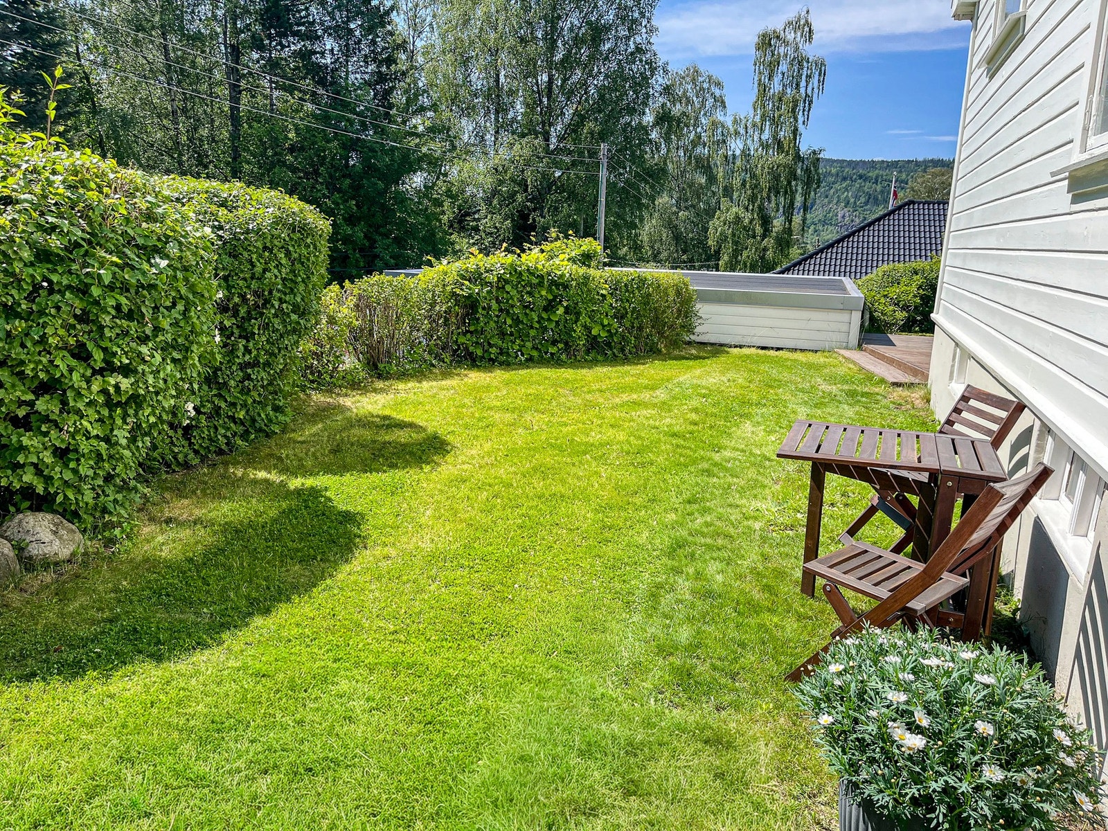 Privat sommerbilde - Hage med gressplen og beplantninger. Galleribilde