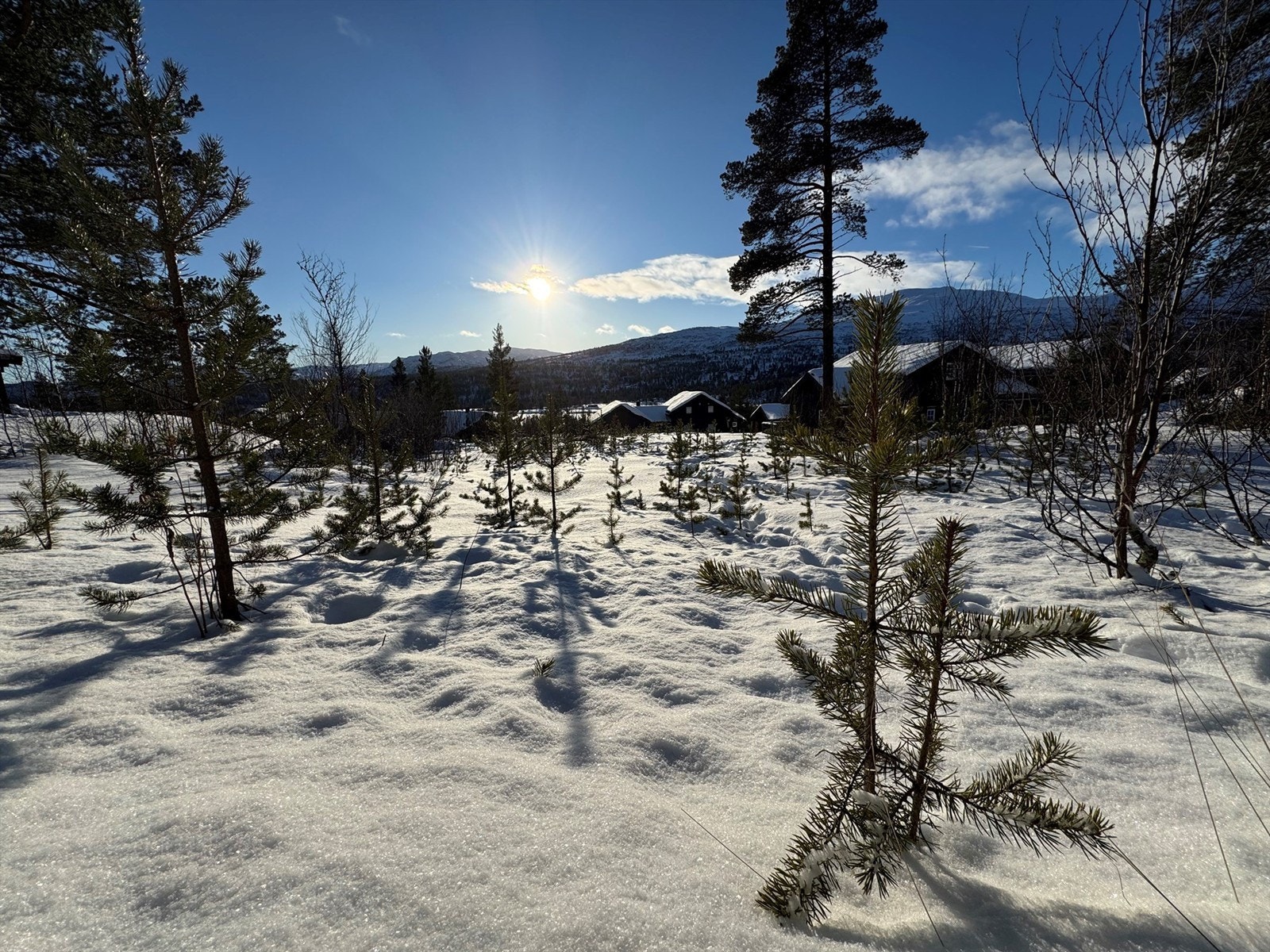 Vidsynsvingen 12 Galleribilde