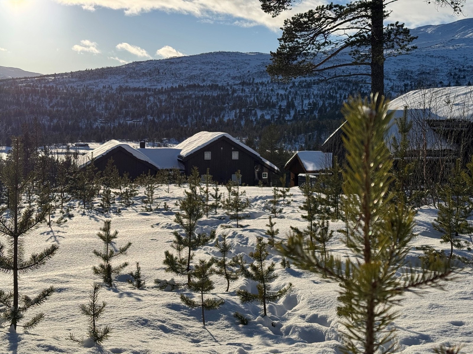 Vidsynsvingen 12 Galleribilde