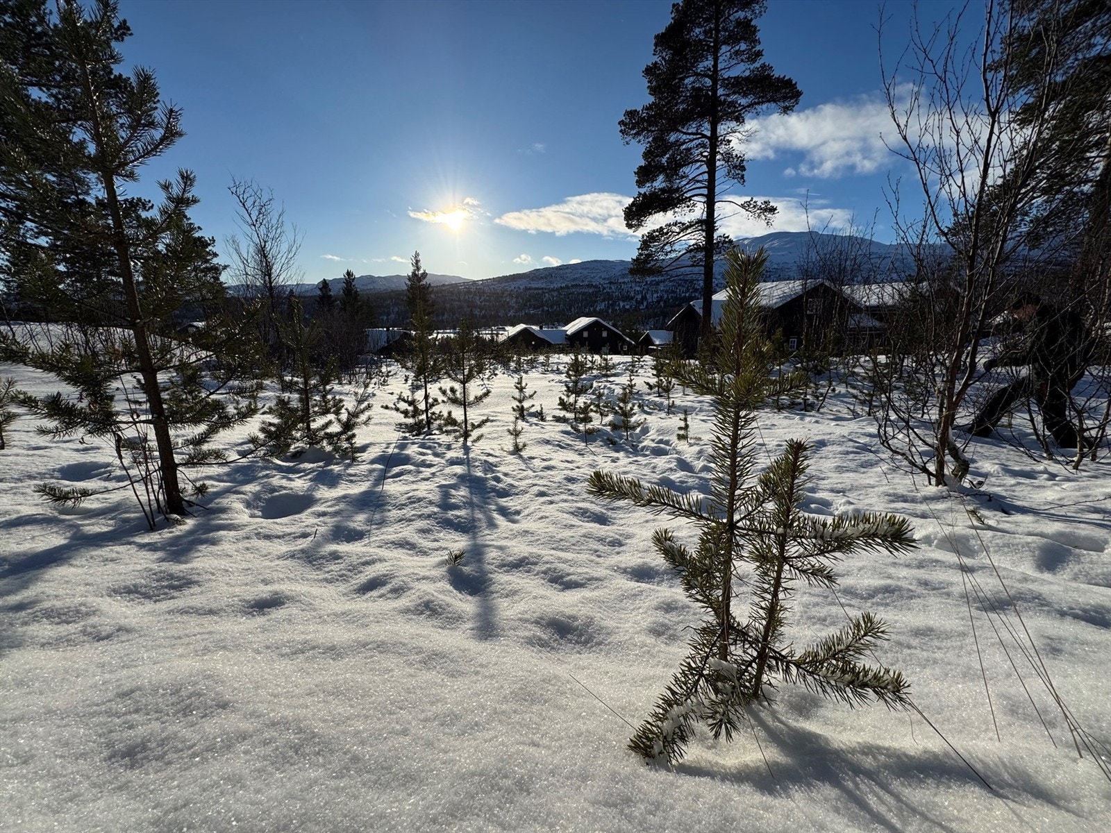 Vidsynsvingen 12 Galleribilde