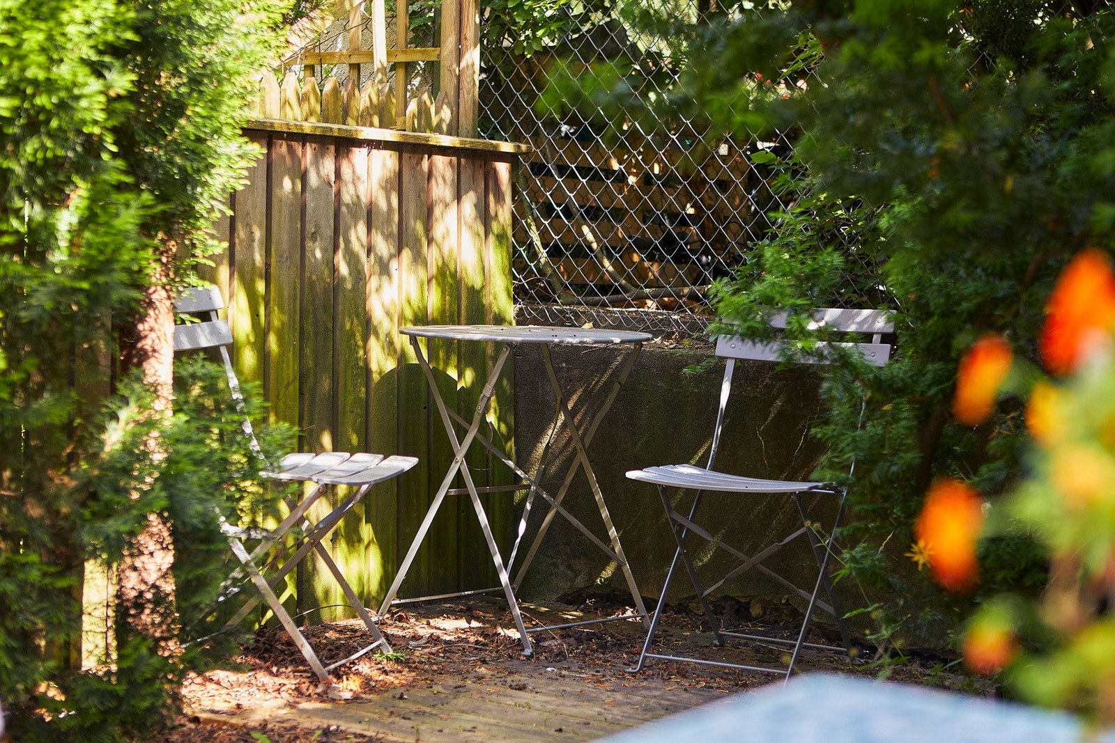 Koselig felles bakgård med beplantning og felles grill. Galleribilde