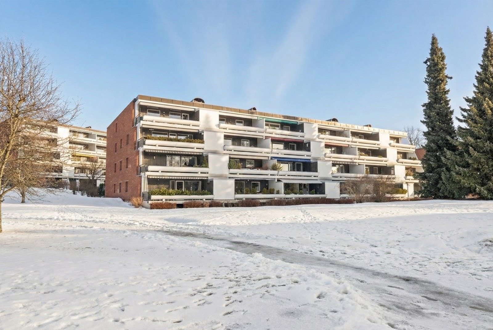 Ullern allé med solrik beliggenhet Galleribilde