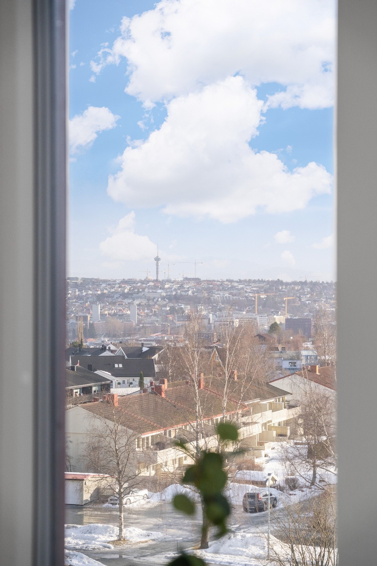 Nydelig utsikt også mot sentrum og Tyholttårnet. Galleribilde