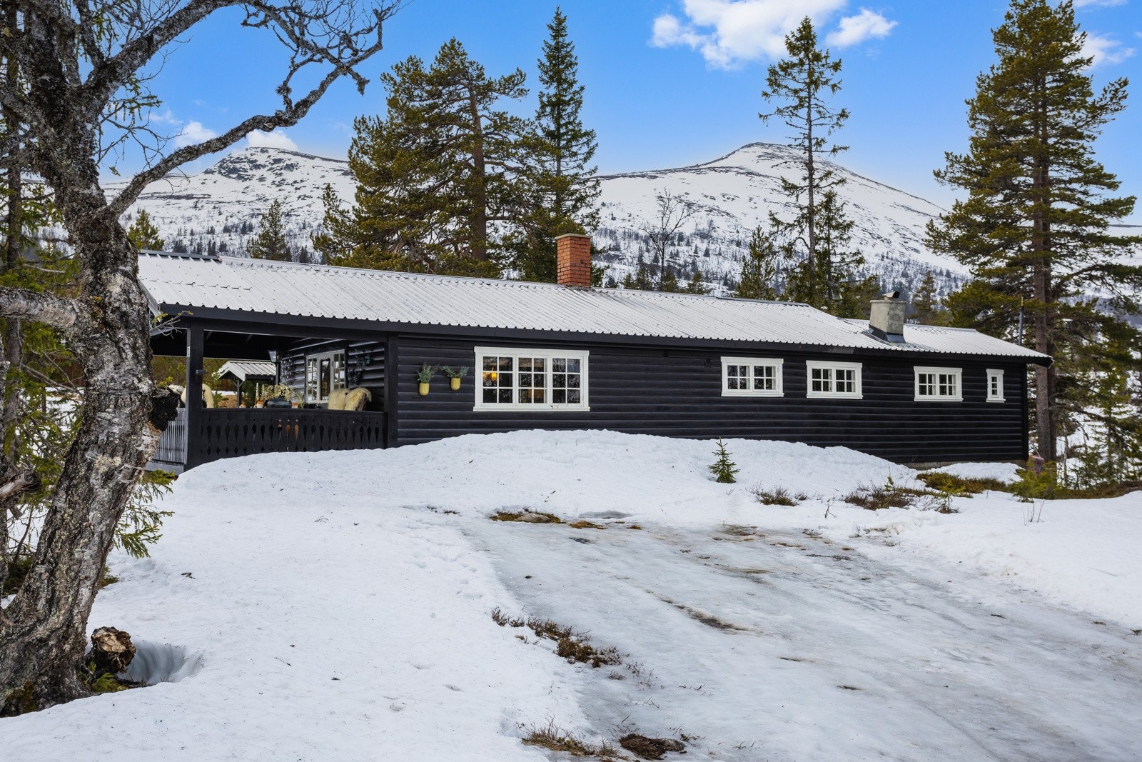 Hytta ligger fantastisk til i Nedre Reinsjø hyttefelt. Galleribilde