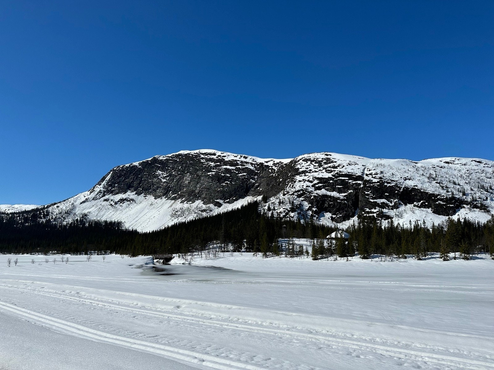 Skiløyper rundt Haglebuvannet vinterstid. Galleribilde