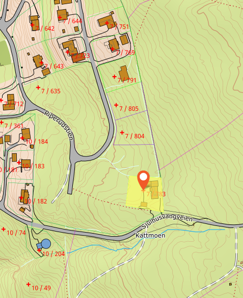 Kartutsnitt Galleribilde