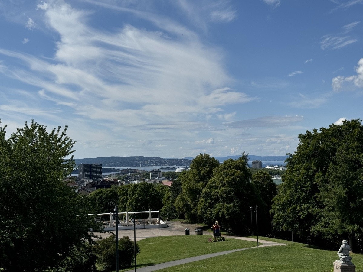 Områdets nærmiljø Galleribilde