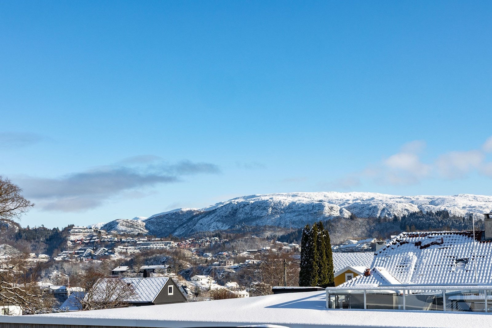 Utsikt mot Livarden i øst. Galleribilde