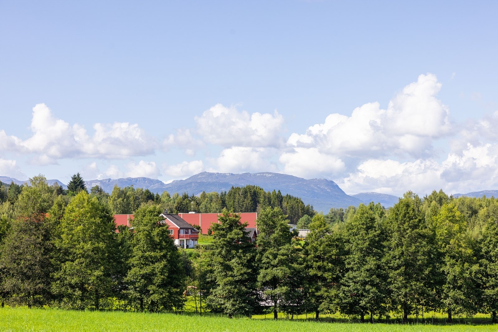 Boligen ligger fint til i landlige omgivelser, med gangavstand til Gvarv sentrum. Det er ellers kort vei til barnehage og Gvarv skole med 1.-10. trinn. Galleribilde