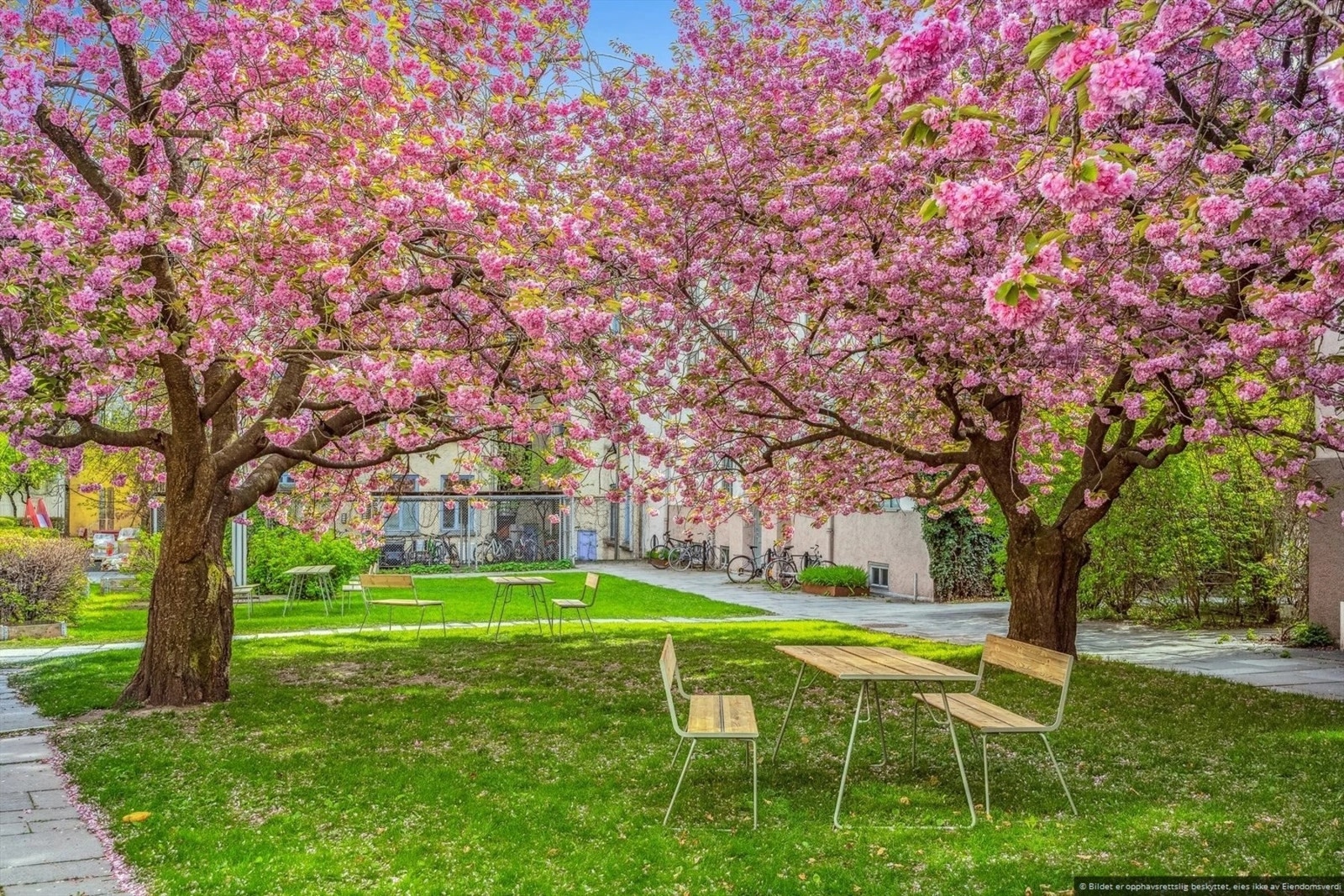 Borettslaget har et nydelig opparbeidet og skjermet gårdsrom. Galleribilde