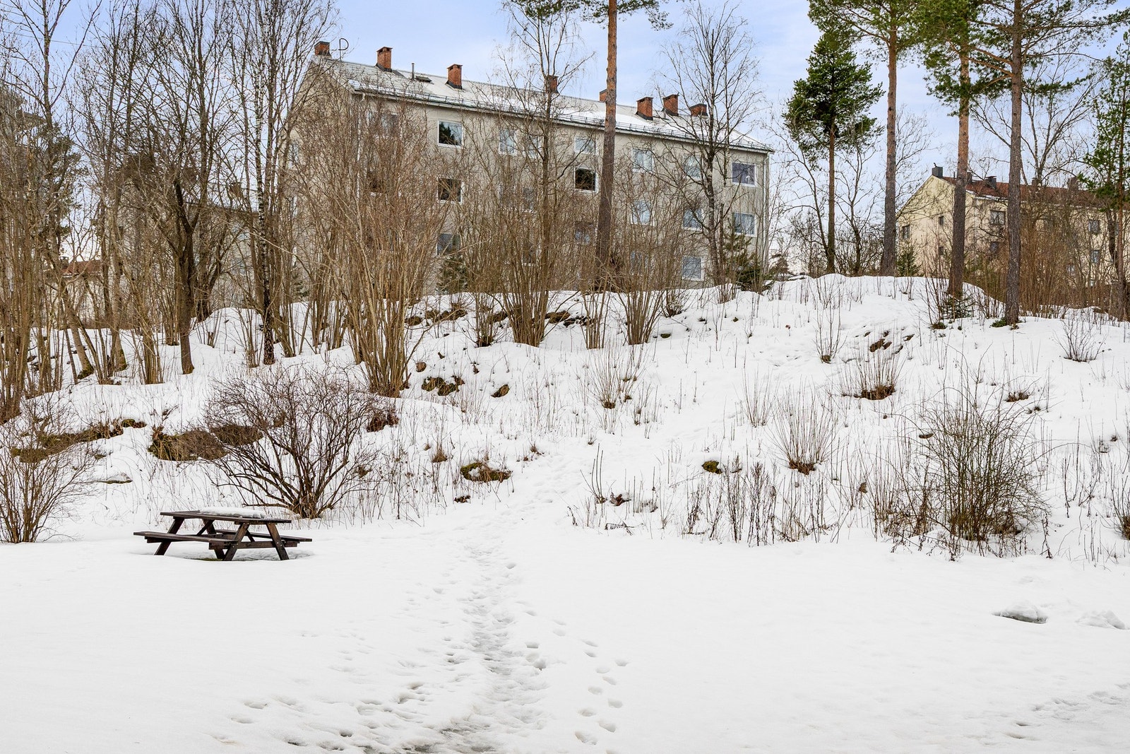 Flotte fellesarealer med mulighet for ulike aktiviteter ut i fra sesong, hvor det er godt med boltreplass for store og små. Galleribilde