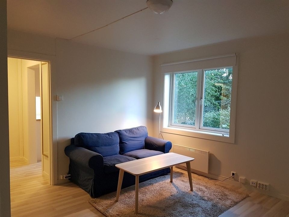 Stue sett mot vindu (obs møbler er fra tidligere leietaker, følger ikke med) Galleribilde