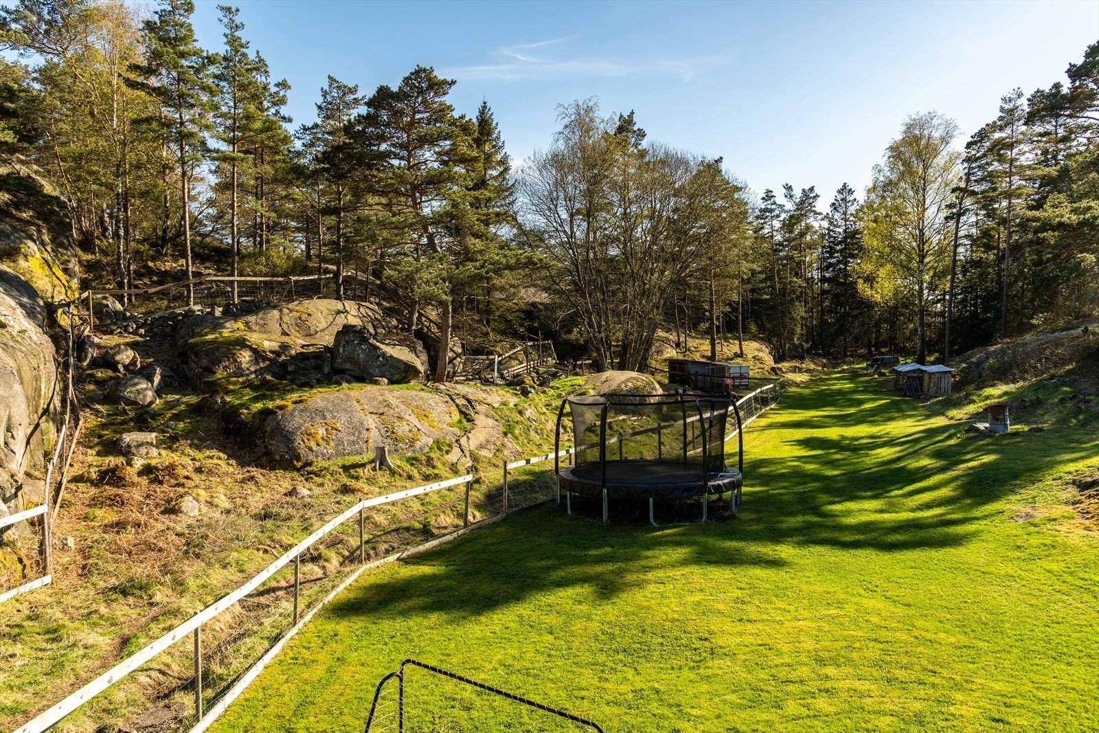Eiendommen er inngjerdet så geitene kan ferdes trygt på tomten. Galleribilde
