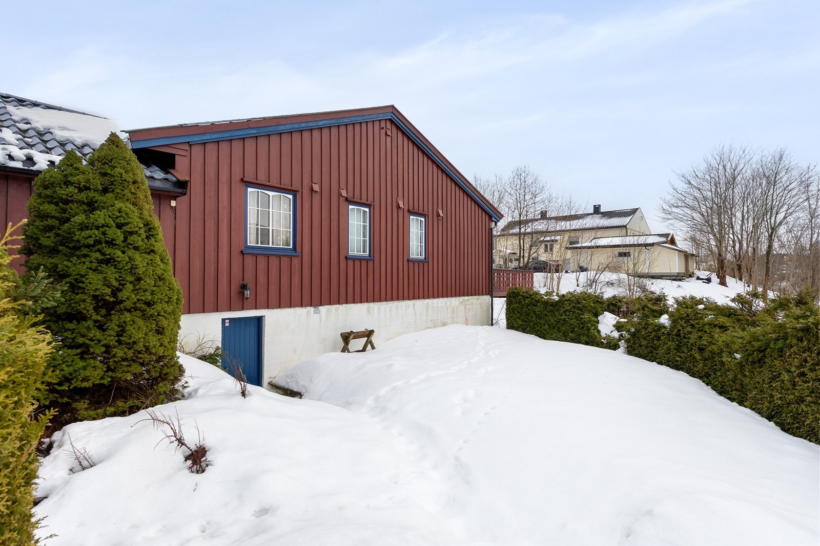 Dør fra hage og inn til kjellerom Galleribilde