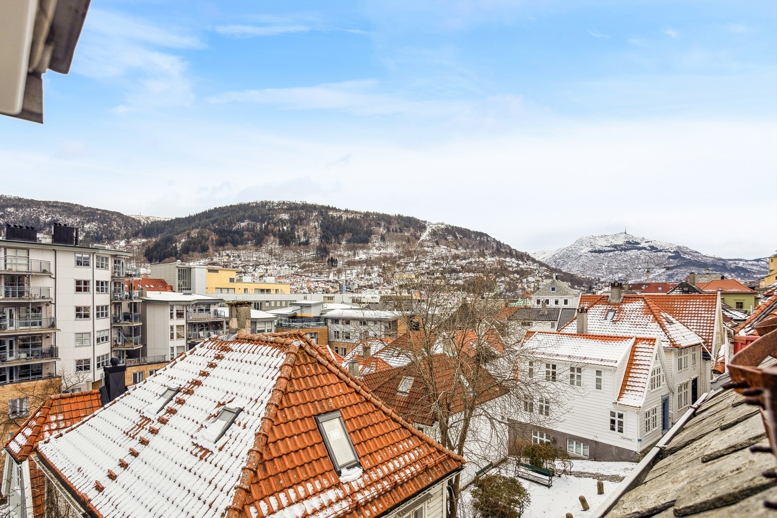 Området byr på unike kvaliteter - rolig og sentrumsnært. Galleribilde