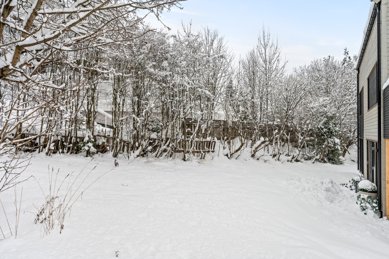 Uteområdet for boligen Galleribilde