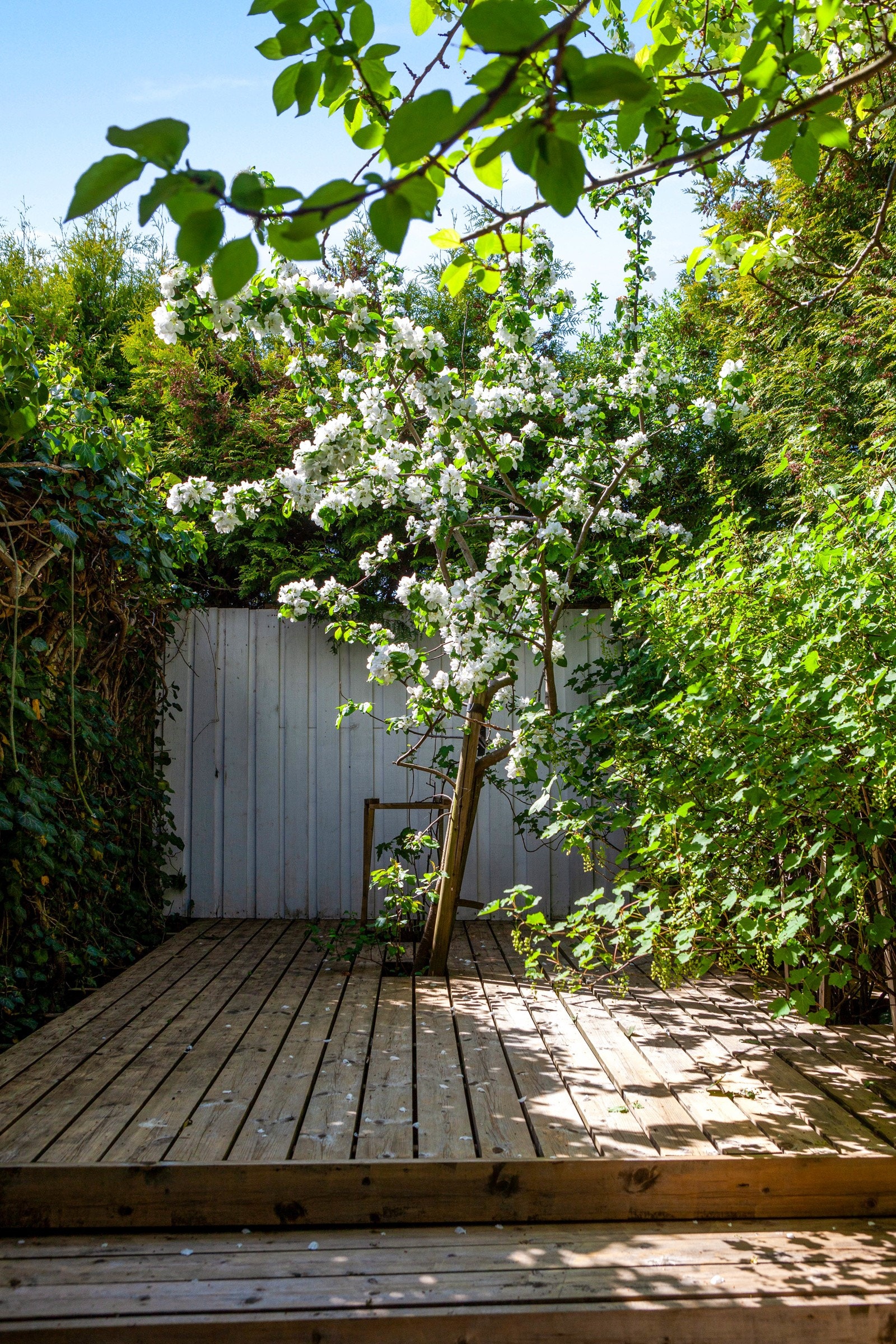 Ved frukttrærne er det laget en oppbygd uteplass Galleribilde