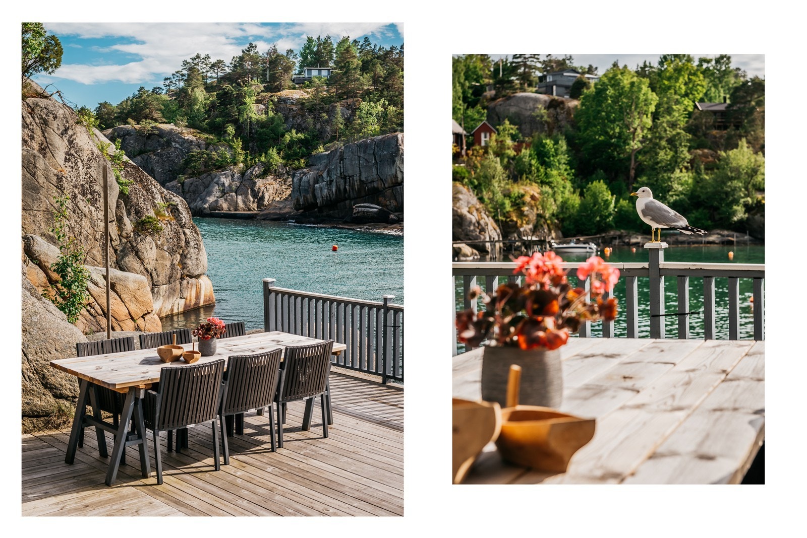 Terningkast 6 på sjarme. Måka hjalp til som statist Galleribilde