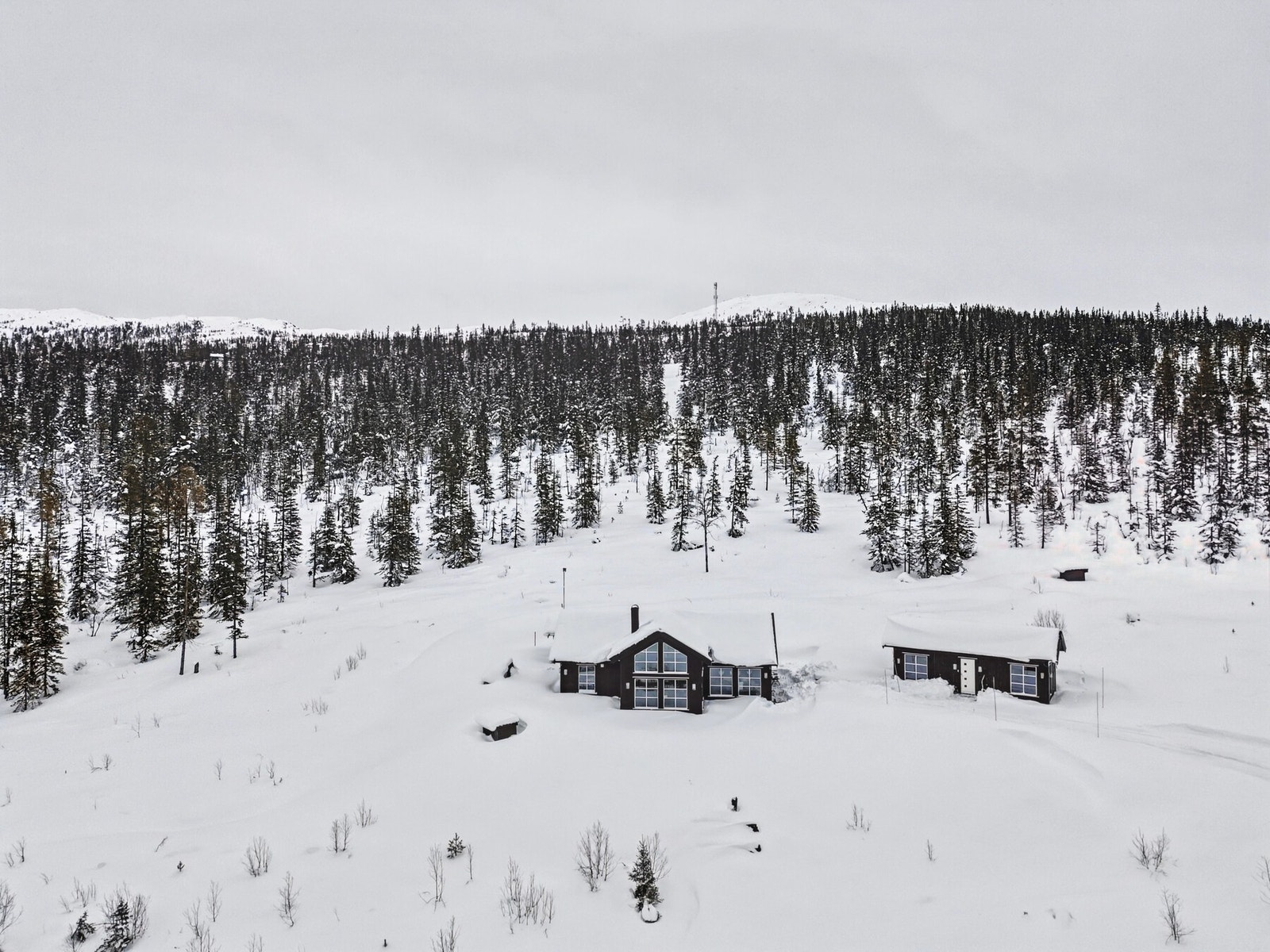 Velkommen til Sevrelie, kun 2 timer fra Oslo!
Foto; EIE/Fotograf Pål Harald Uthus. Galleribilde
