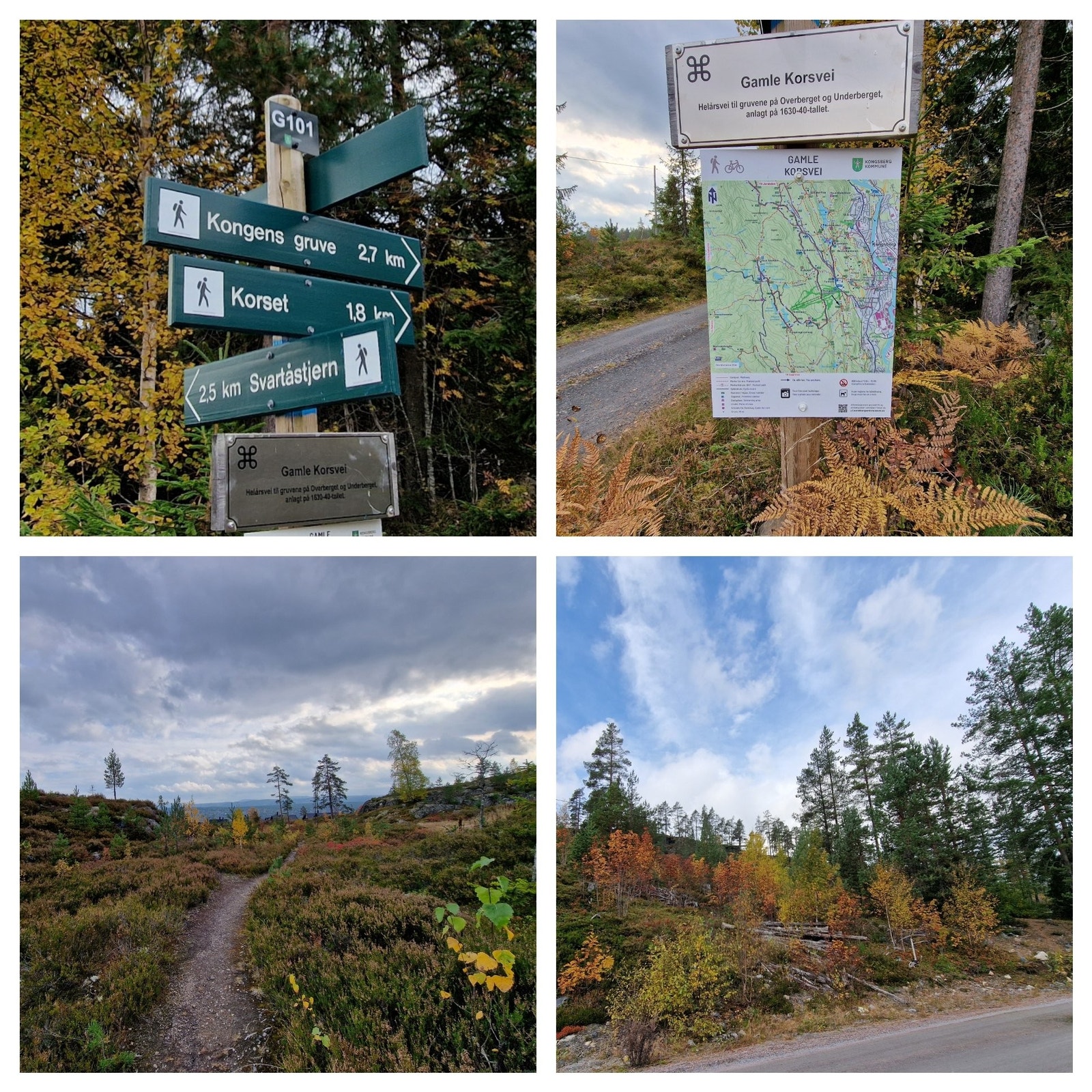 Området byr på utallige turmuligheter året rundt! Galleribilde