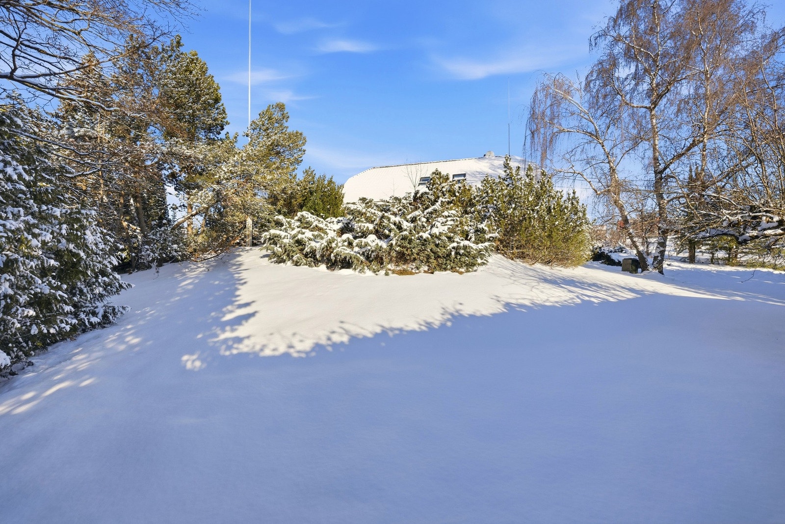 I dag rommer hagen vintergrønne busker, plen, prydbusker og frukttrær - men den har også vært lånt ut til grønnsaksdyrking. Galleribilde