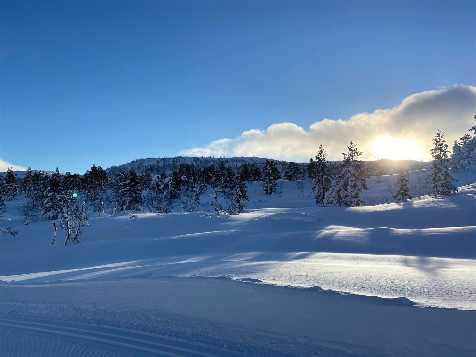 Flotte tomter i vakre omgivelser Galleribilde