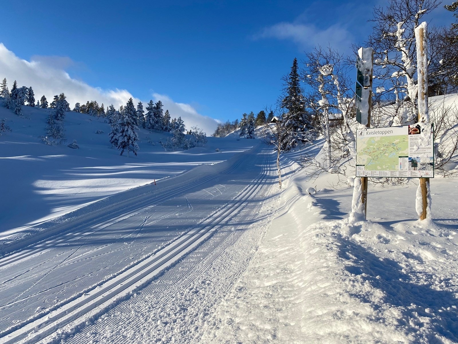 Nydelig turterreng like utenfor hyttedøren, med oppkjørte løyper Galleribilde
