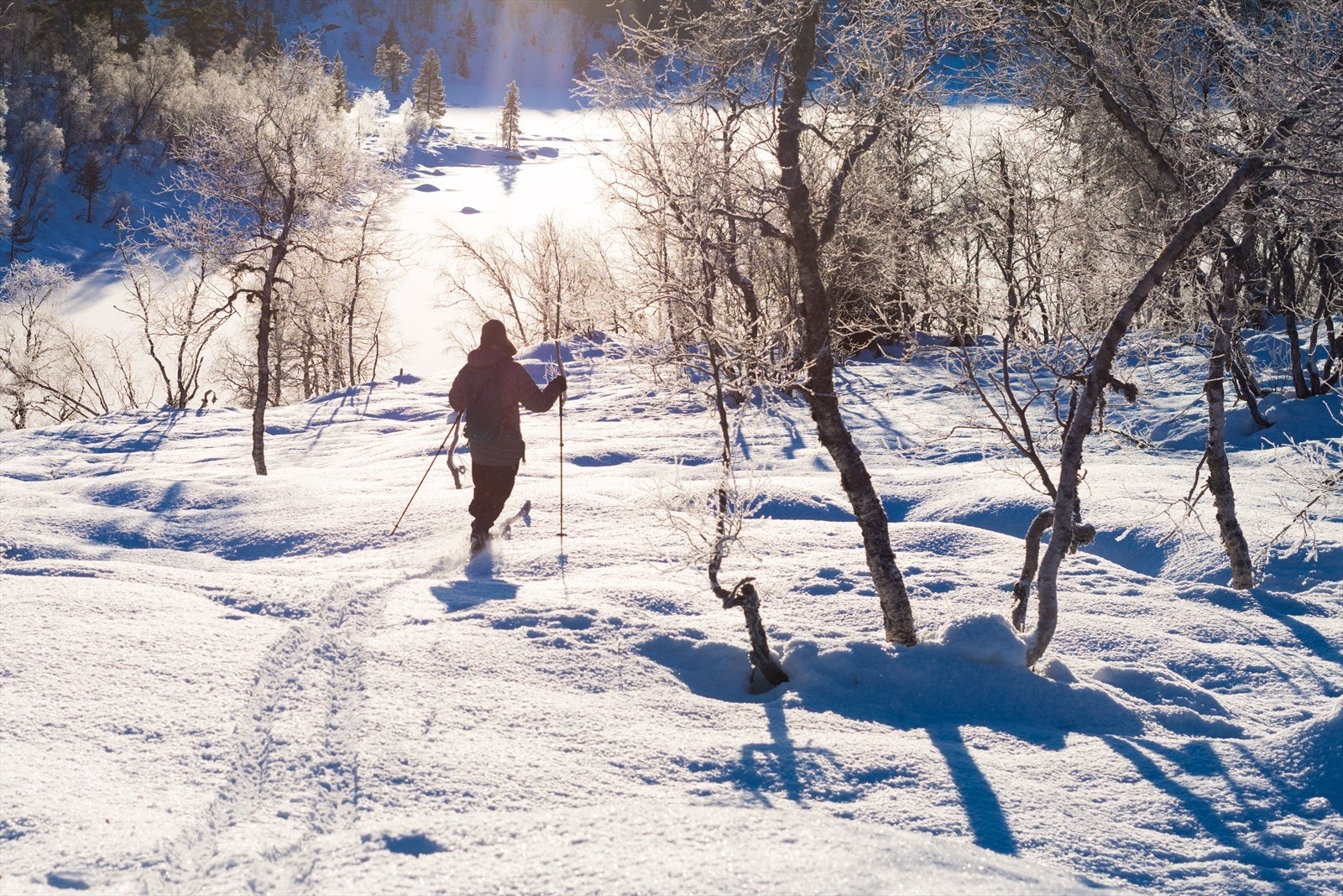 Finn din hyttedrøm på Kvisletoppen Sør Galleribilde