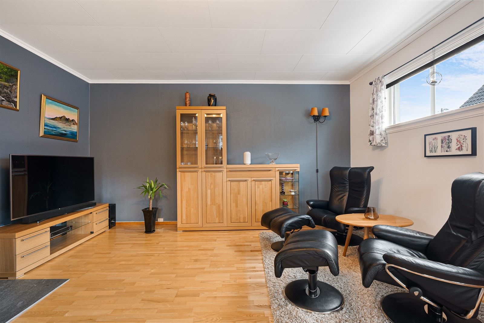 TV-stue Galleribilde