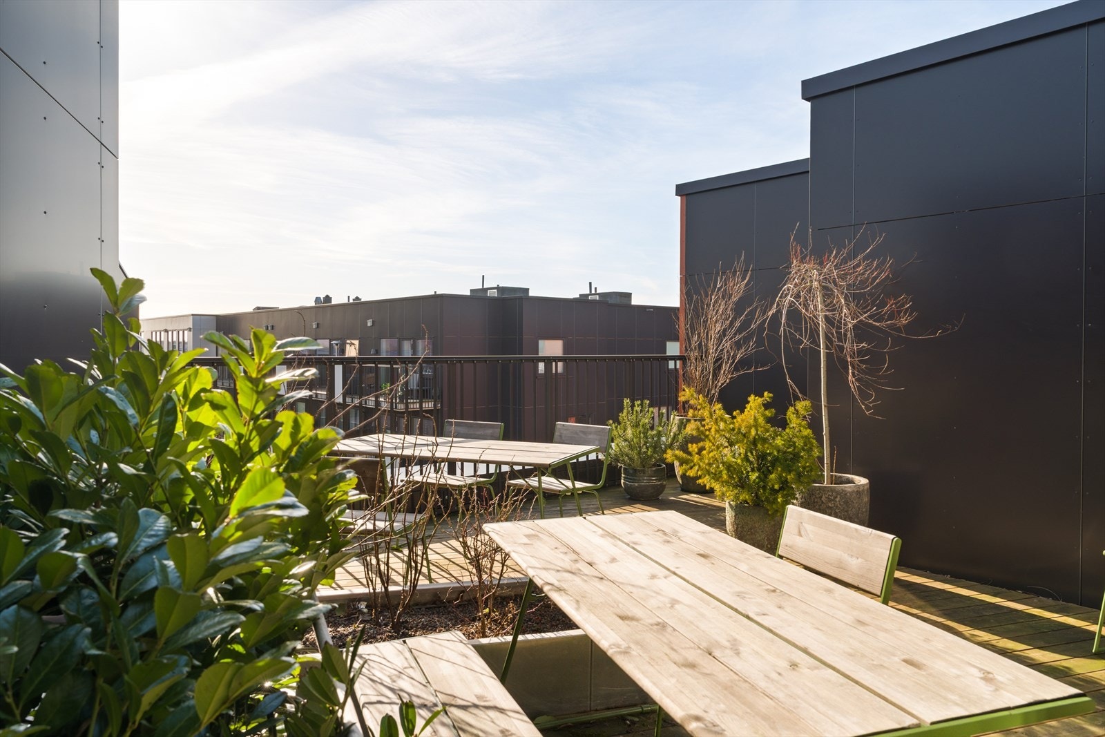 Her sitter du høyt og skjermet Galleribilde