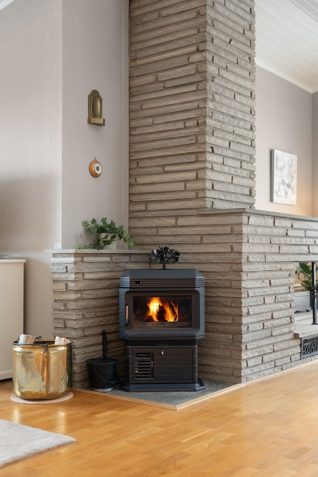 Koselig vedovn Galleribilde